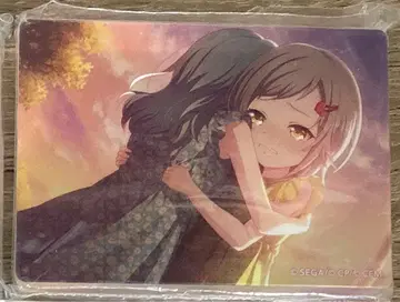 프로세카 노블 아트 컬렉션 vol.23 히노모리 시호 어린이 토끼