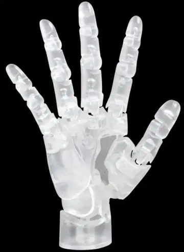 ARTIST SUPPORT ITEM 1/2 핸드 모델/R CLEAR