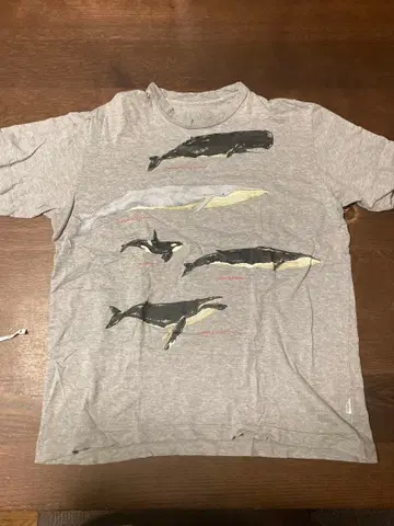 시모사코 히데키 powder 그레이 고래 패턴 티셔츠