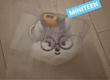 MINITEEN 세부치 seventeen 원우 키링 포동이