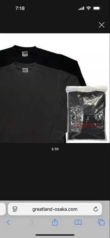 greatLAnd x ONEITA EXCLUSIVE L/S 2PACK T