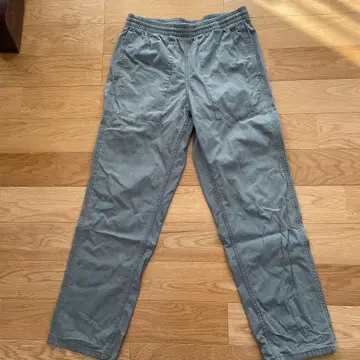 Patagonia 워크 팬츠 S