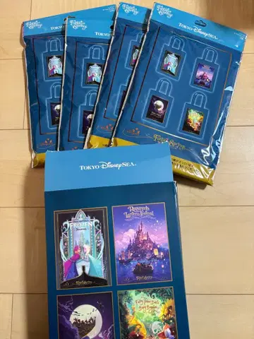 새상품 디즈니 리조트 판타지 스프링스 토트백