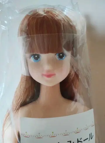 리카짱 캐슬 제니 프렌드 밀피유