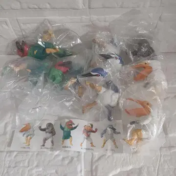 가치무치 새 6 시조새 씨 펠리컨 씨 오리 씨 왜가리 씨