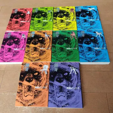 은아 전10권 별똥별 은