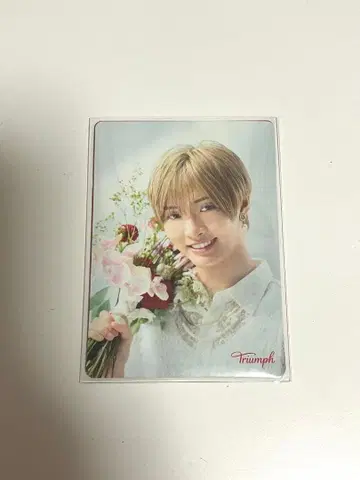 IMP. 사토 신 Triumph 트림프 오리지널 메시지 카드 2장 세트