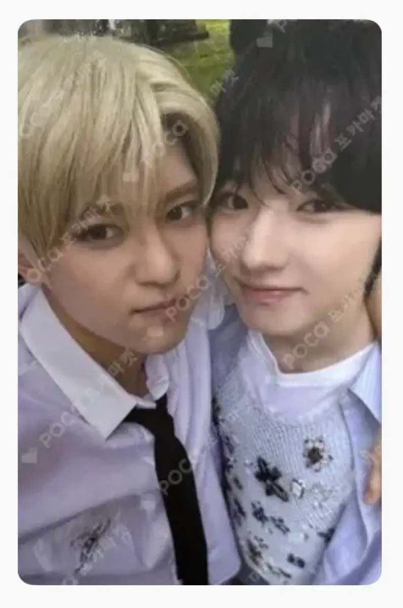 NCT WISH DICON Sakuya Sion Sio-ppangz Unit Photocard Poca Sell