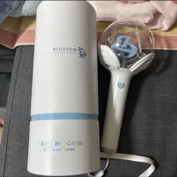 박보검 공식 응원봉