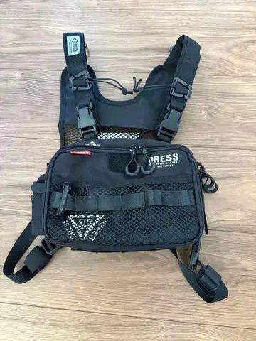 드레스 가슴 백