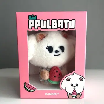 TXT 뿔바투 밤굿 범규 키링 수박 팝업