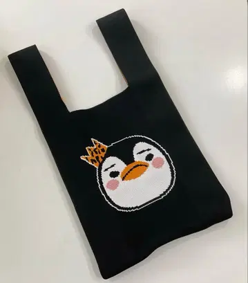 2PM 준호 펭귄 니트 백 대