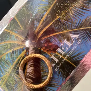 정가 6500엔 ALEIA 14호 골드링