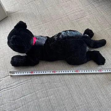 검은 고양이 봉제 인형 약 40cm 무릎 고양이
