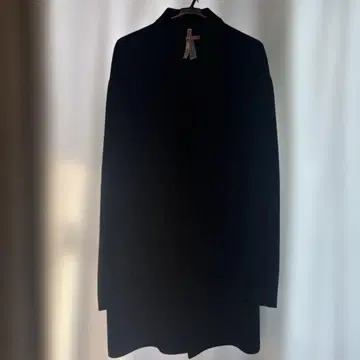 다나 캐런 코트