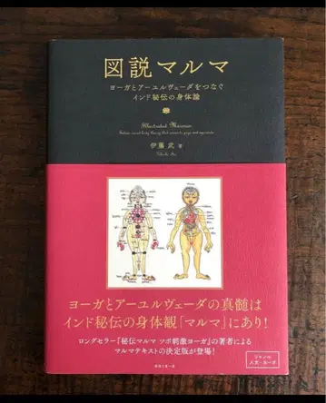 도설 마르마 요가와 아유르베다를 잇는 인도 비전의 신체론
