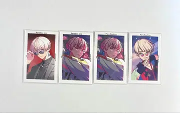 파라라이 여름준 정리