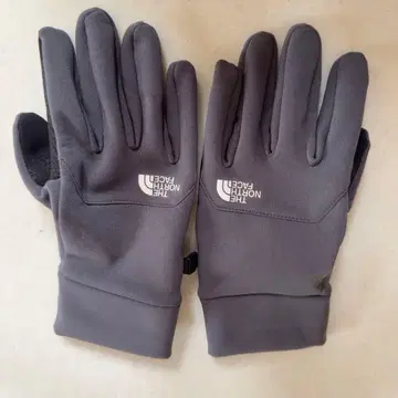 현행 THE NORTH FACE 이칩그로브 스마트폰 대응 L