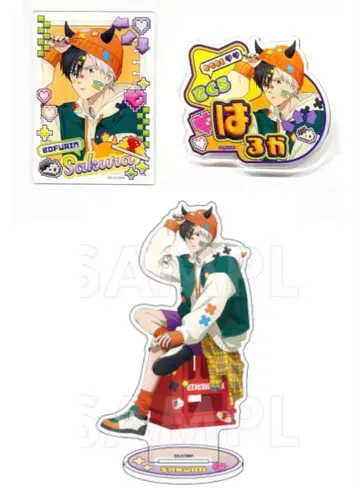 WIND BREAKER 윈브레 벚꽃 하루카 팀 엔터테인먼트 AGF