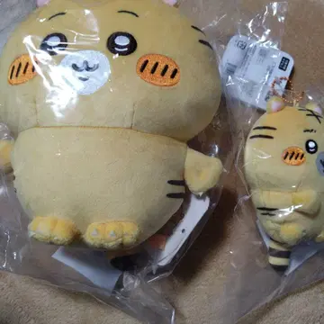 나가노 마켓 트래저 복권 2개