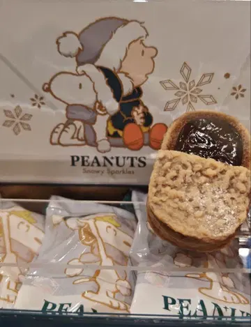 USJ 스누피 2025 크리스마스 쇼콜라 덕 워즈