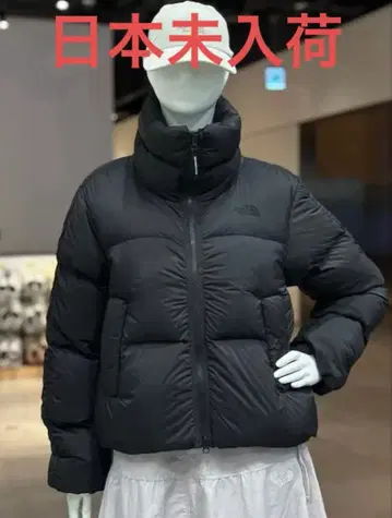 THE NORTH FACE ECO 다운 인기
