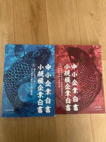 중소기업 백서 2025년판 2권 세트