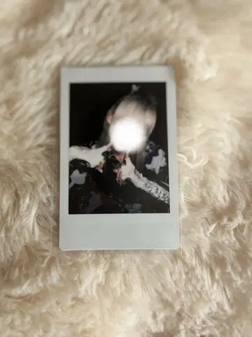 러브시크 하야테 유카타 폴라로이드