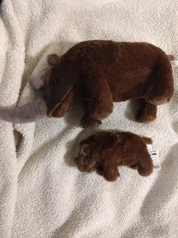 화석 헌터전 케사이 인형 모자 세트 티베트