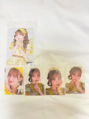 하야세 노엘 브로마이드 트레카세트