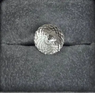 스위트피 Sweet pea 스모키 워쿼츠