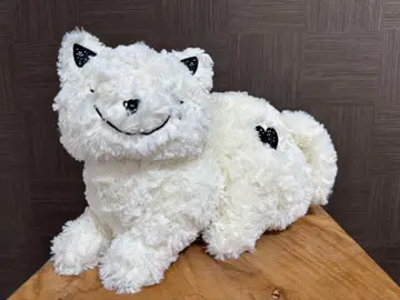 요네즈켄시 리이슈 고양이 하양 화이트