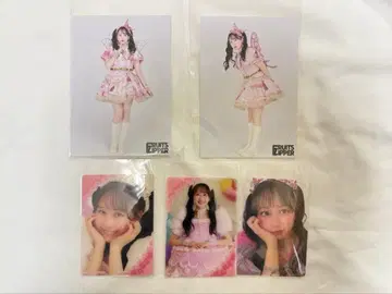 아이돌 사진 4장 세트 핑크 계열