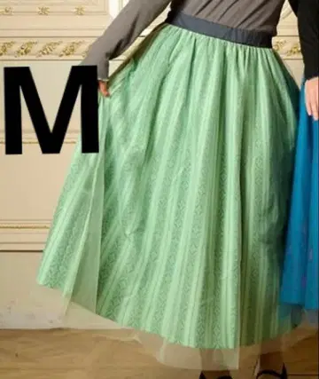 리트시 아나와 눈의 여왕 아나 스커트 M 스커트