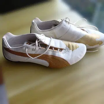 Puma 퓨처 캣 신발