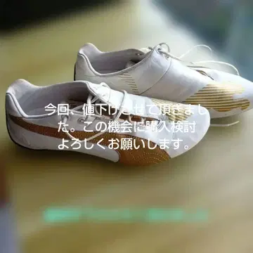 푸마 드라이빙 신발