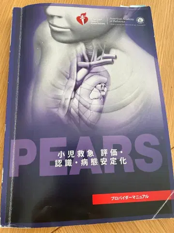 PEARS 프로바이더 매뉴얼 2015 (일본어판)