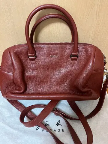 아그네스 베 백