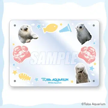 캡슐 복권 랏코의 메이짱 복권 B상 손 모양 포함 포토 프레임 메이