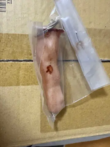 한 손가락 중지/검지 키링 #키링 #손가락