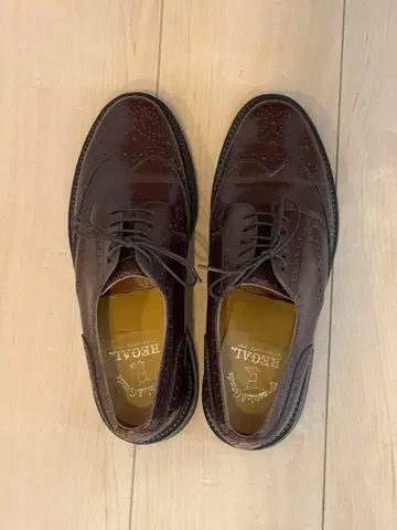 REGAL 24.5 가죽 윙팁 드레스 슈즈