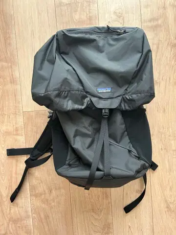 Patagonia 백팩 블랙