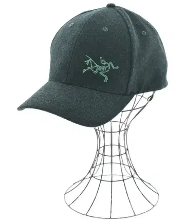 아크테릭스 캡 남성용