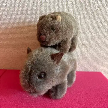 웜뱃 봉제 인형 대소 세트