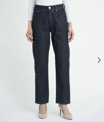 야누크 아네트 23인치