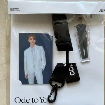 SEVENTEEN JUN LANYARD SET