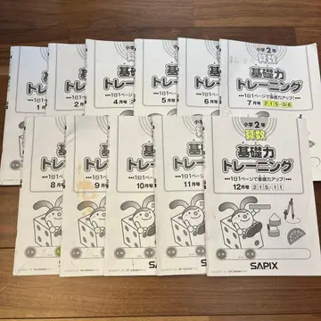기초력 트레이닝 11권 세트 SAPIX 2학년