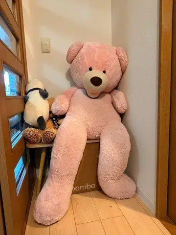 커다란 핑크색 곰 봉제 인형