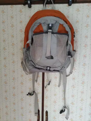 THE NORTH FACE 백팩 오렌지/그레이