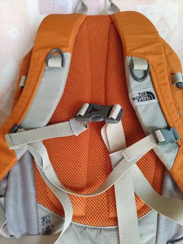 THE NORTH FACE 백팩 오렌지/그레이
